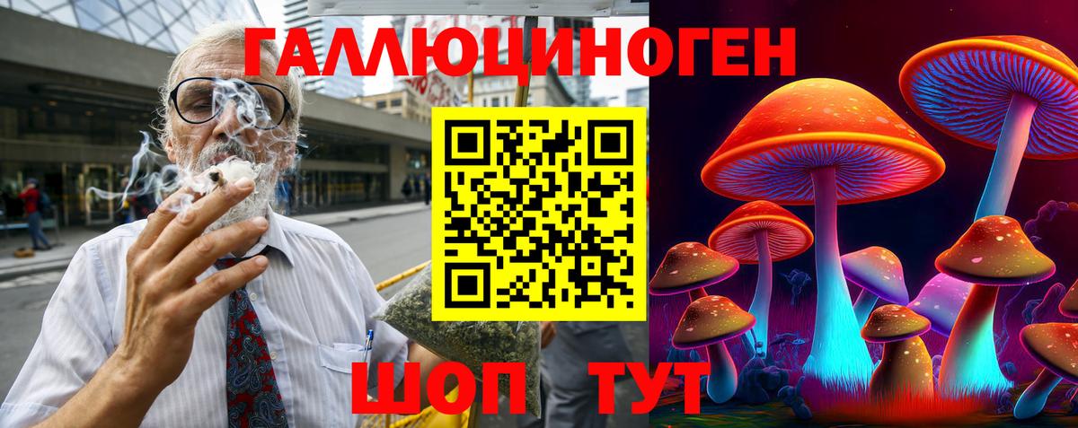 Псилоцибиновые грибы Cubensis Тосно