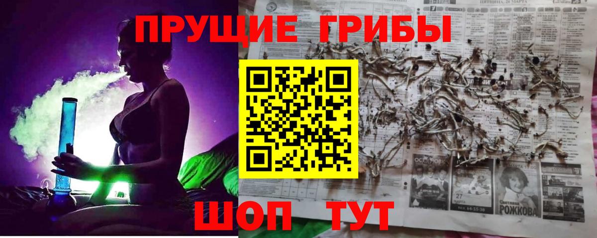 Галлюциногенные грибы Psilocybe  Вход с VPN  Тосно 