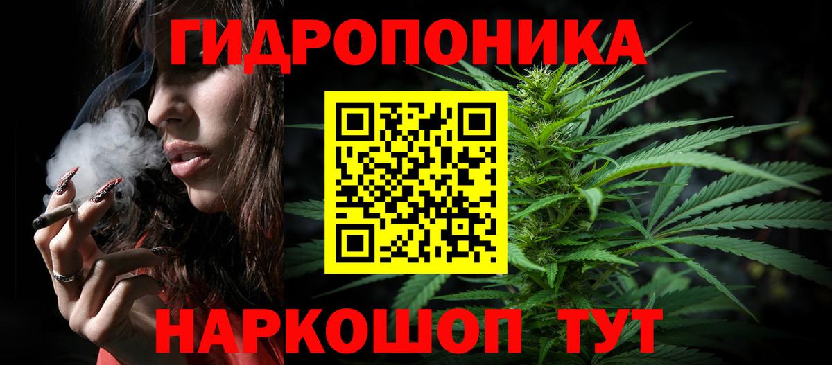 Бошки Шишки индика  Бошки Шишки индика  Тосно  Вход с VPN  Конопля Amnesia 